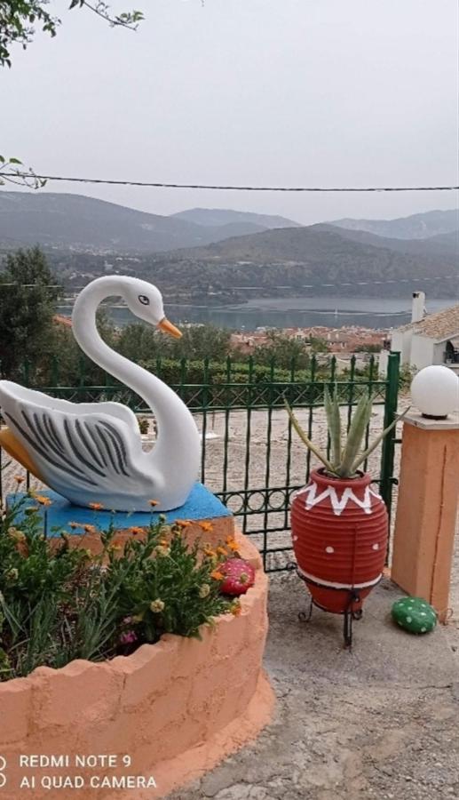 Elenh House Apartment Argostoli  Exterior photo