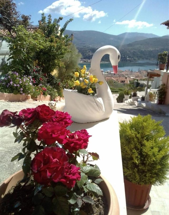 Elenh House Apartment Argostoli  Exterior photo